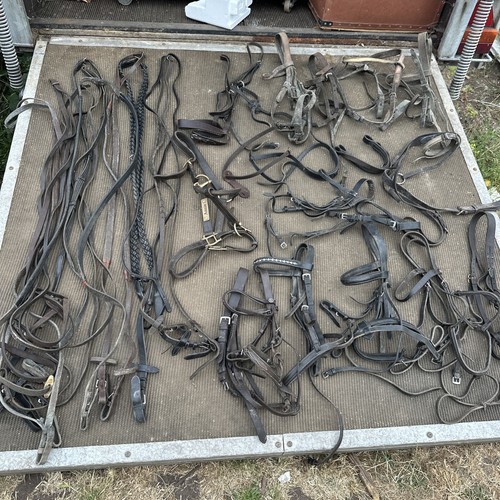Job lot assorted bridles - of,