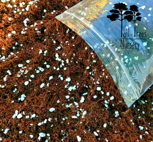 Premium coco coir perlite mix - perlite,