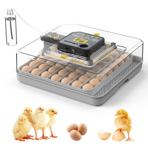 Egg incubator automatic - incubator,
