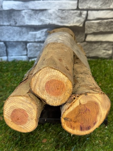Year air dried - year, log