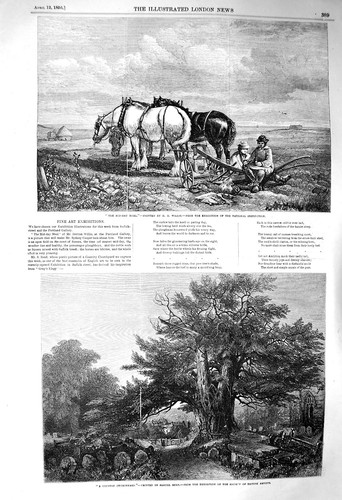 Old antique print - antique, 1856