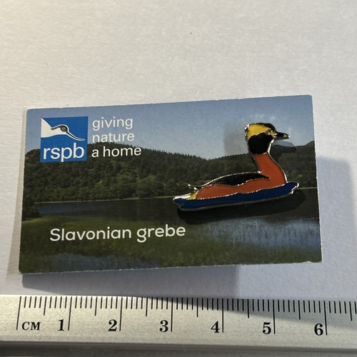 Rspb scotland pin badge - pin,