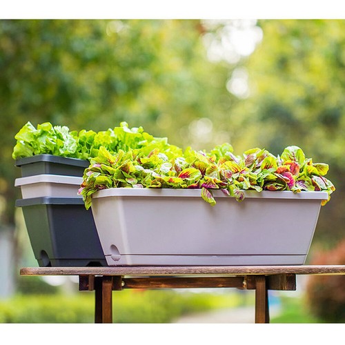 Set plastic pot trough - plastic,