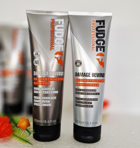 Fudge professional damage - professional,