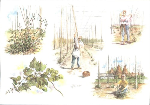 Ida fermor design - fermor, hop