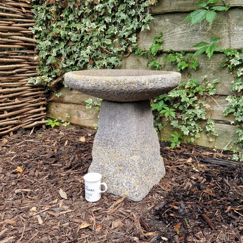 Aged staddle stone - stone, bird