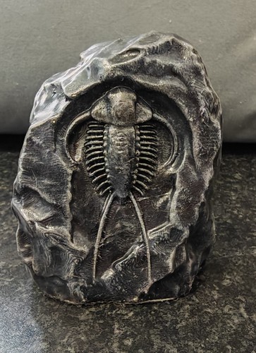 Trilobite printed fossil - printed,