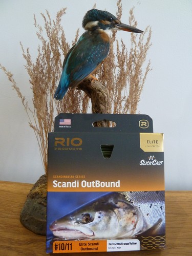 Rio elite scandi outbound - elite,