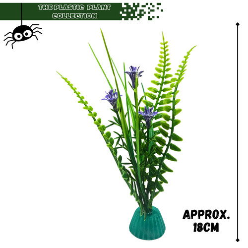 Display plants for frogs - for,