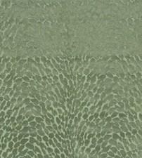 Animal Print Palm Plush