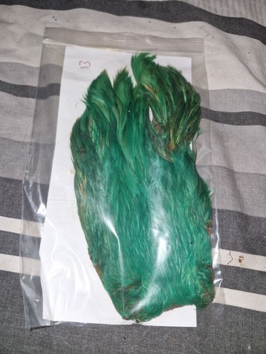 Hen cape fly tying - cape,fly,