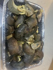 Fresh And Dried Large Snails