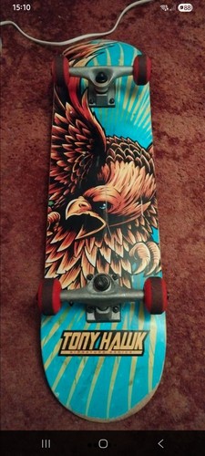 Tony hawk 180 wingspan - hawk,
