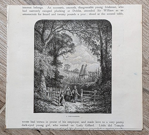 Antique engraving hop - antique,