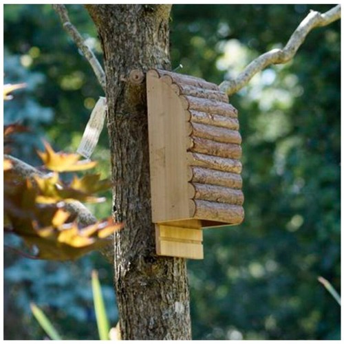 Medium bat box greenkey - bat,