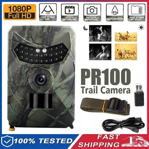 Trail wildlife camera - wildlife,