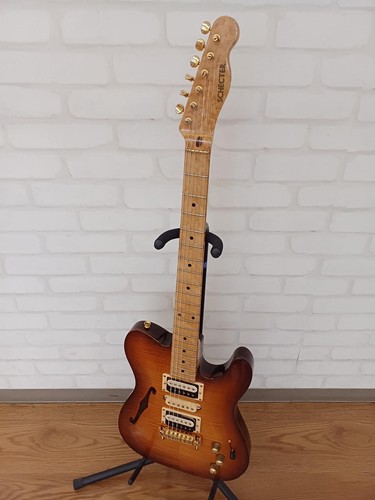 Schecter electric guitar - electric, pt