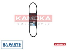 V-Ribbed Belt for ASTON MARTIN