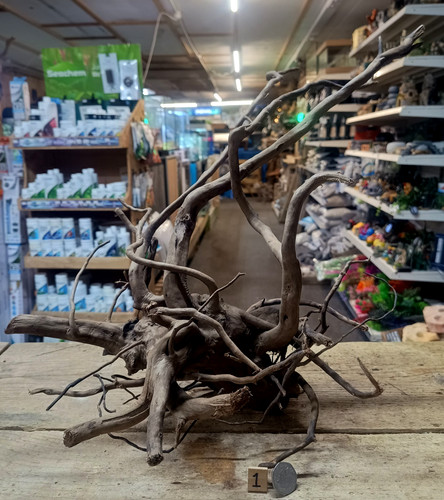 Dark moor root wood - dark,