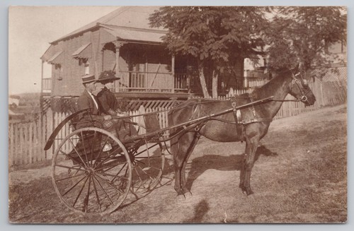Rppc edwardian couple - in, horse