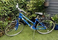 Barracuda   Hybrid mountain