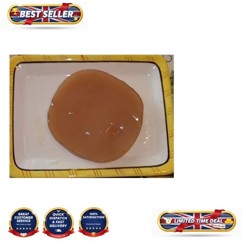 Kombucha scoby culture large - culture,