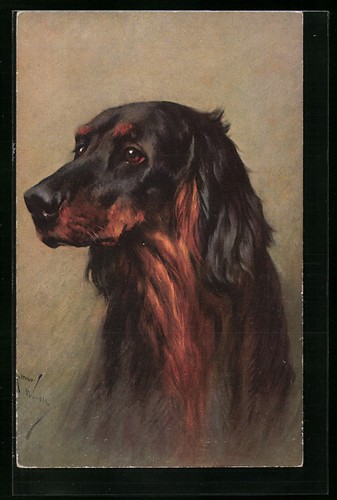 Artist postcard gordon setter - artist,