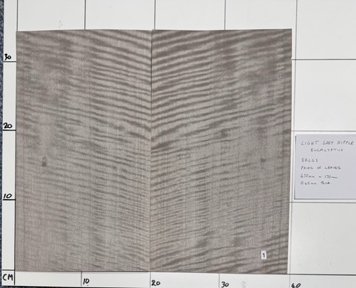 Light grey ripple - grey, eucalyptus