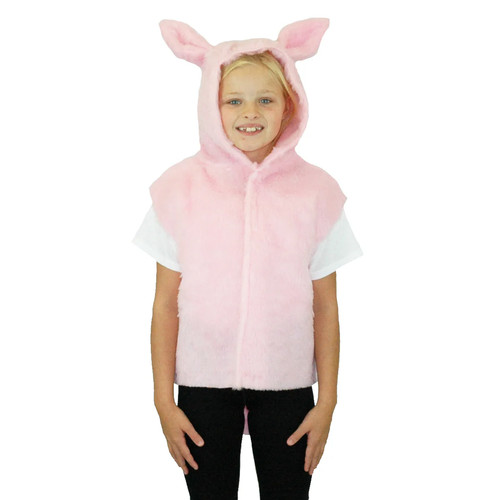 Pig costume charlie crow kids - costume,
