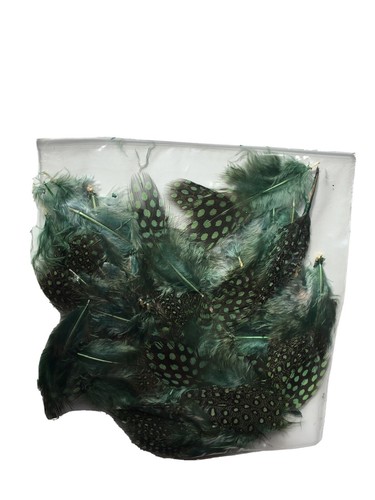 Guinea fowl dyed - ,dyed, ,2