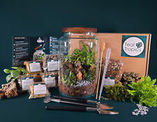 Full Terrarium Kit with Plants