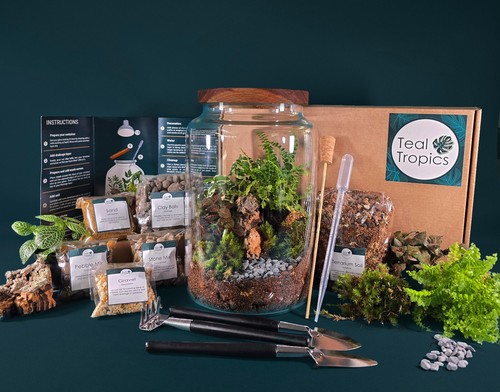 Full terrarium kit - terrarium,