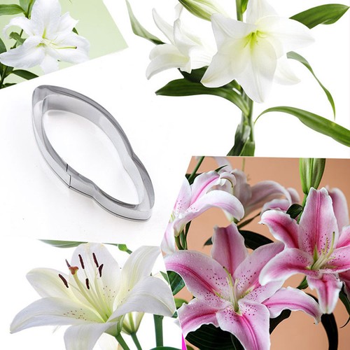 2pcs lily flower - lily, petal