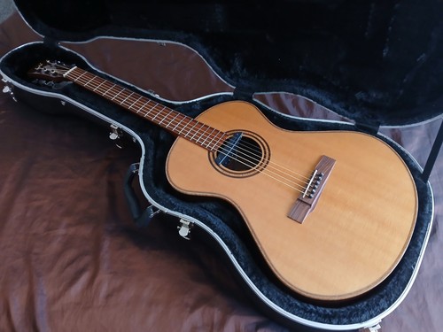 Andrew white guitars - guitars, cybele