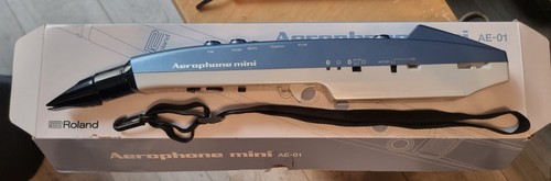 Roland aerophone wind - roland, ae-01