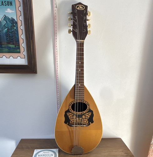 Eko string bowl back - 8-string,