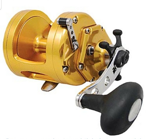 Penn international torque - penn,