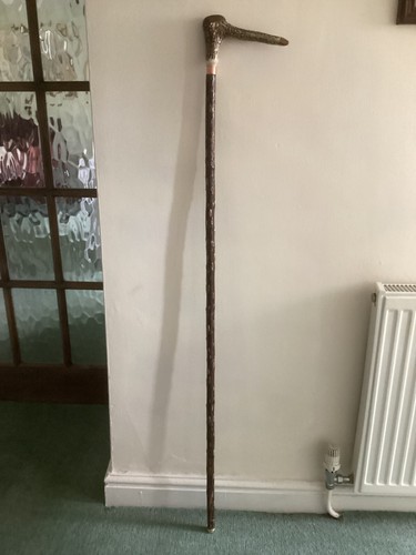 Walking stick hiking - walking, pole