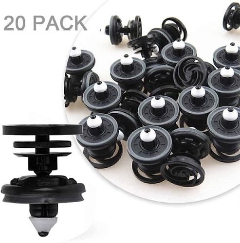 20x for t6 - t6, transporter