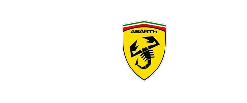Abarth wing shields 100mm - abarth,