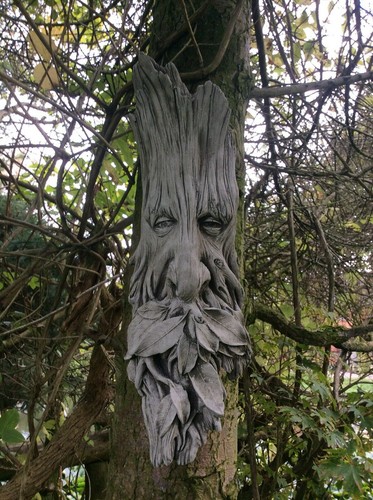 Stone gardn branches green - stone, man