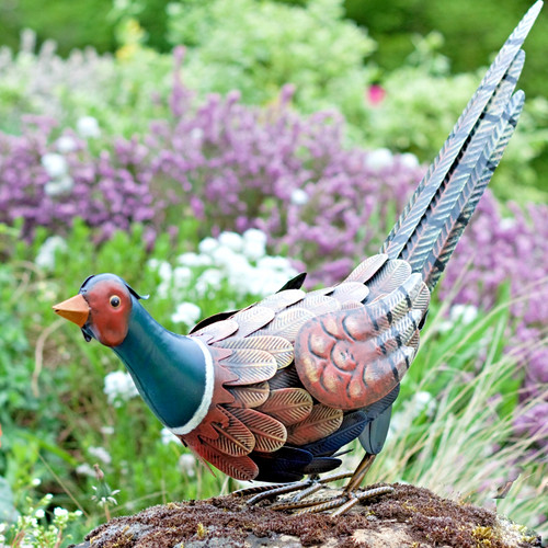 Metal feeding pheasant garden - feeding,