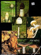 NK GUINEA 1990/1991 - MNH - MUSHROOMS - 2 SETS - S/S