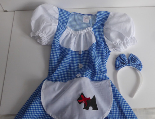 Dorothy costume wizard - costume, of