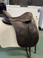 Albion Original Comfort