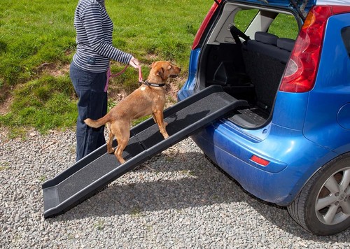Actias dog car - actias,