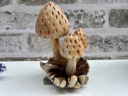 Wooden strawberry mushroom - strawberry,