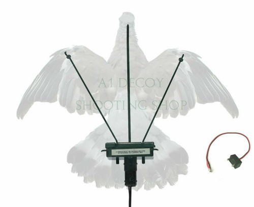 Turbo flapper pigeon magnet - turbo,