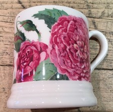 Emma Bridgewater Mug David