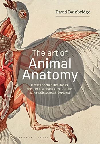 The art animal anatomy all - animal,